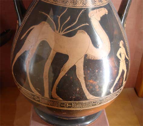 Погонщик верблюдов. Рисунок на древнегреческой вазе.  Эрмитаж.   (фото Лимарева В.Н.)