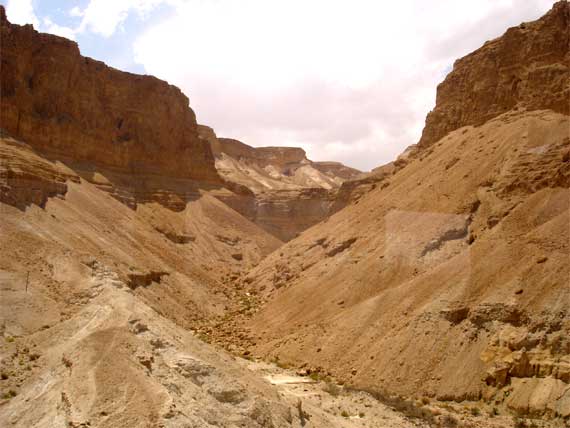 Вади (сухое русло) у плато Масада у Мертвого моря.Израиль. Фото Лимарева В.Н.